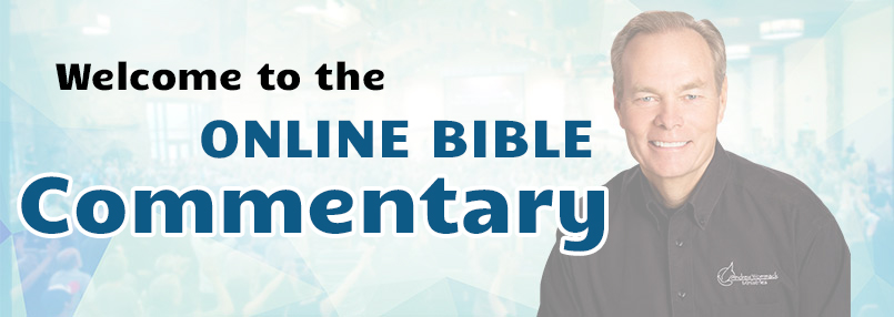 Bible cheap commentary online